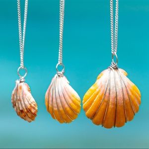 Stunning Freshwater Sunrise shell necklace
